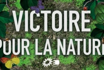 Victoire : Le Parlement européen adopte le texte final de la Loi sur la Restauration de la Nature !